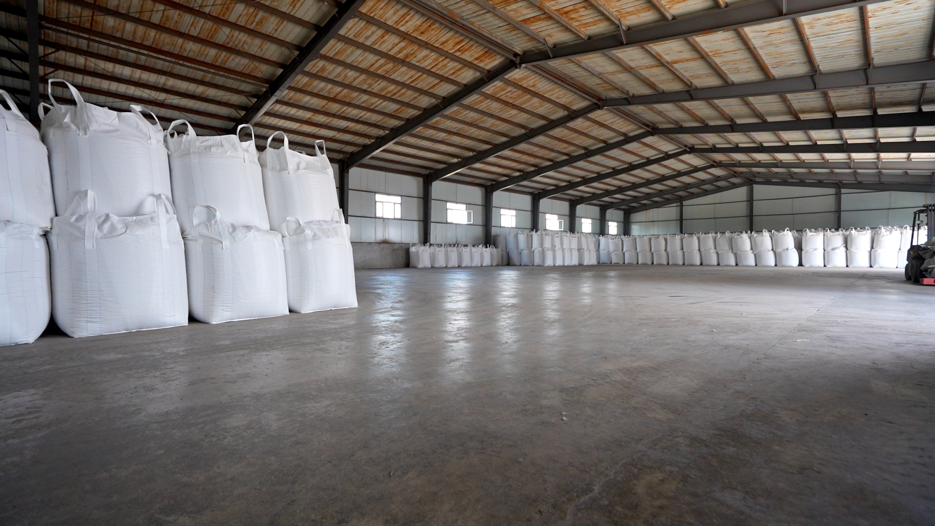 Organized bagged storage