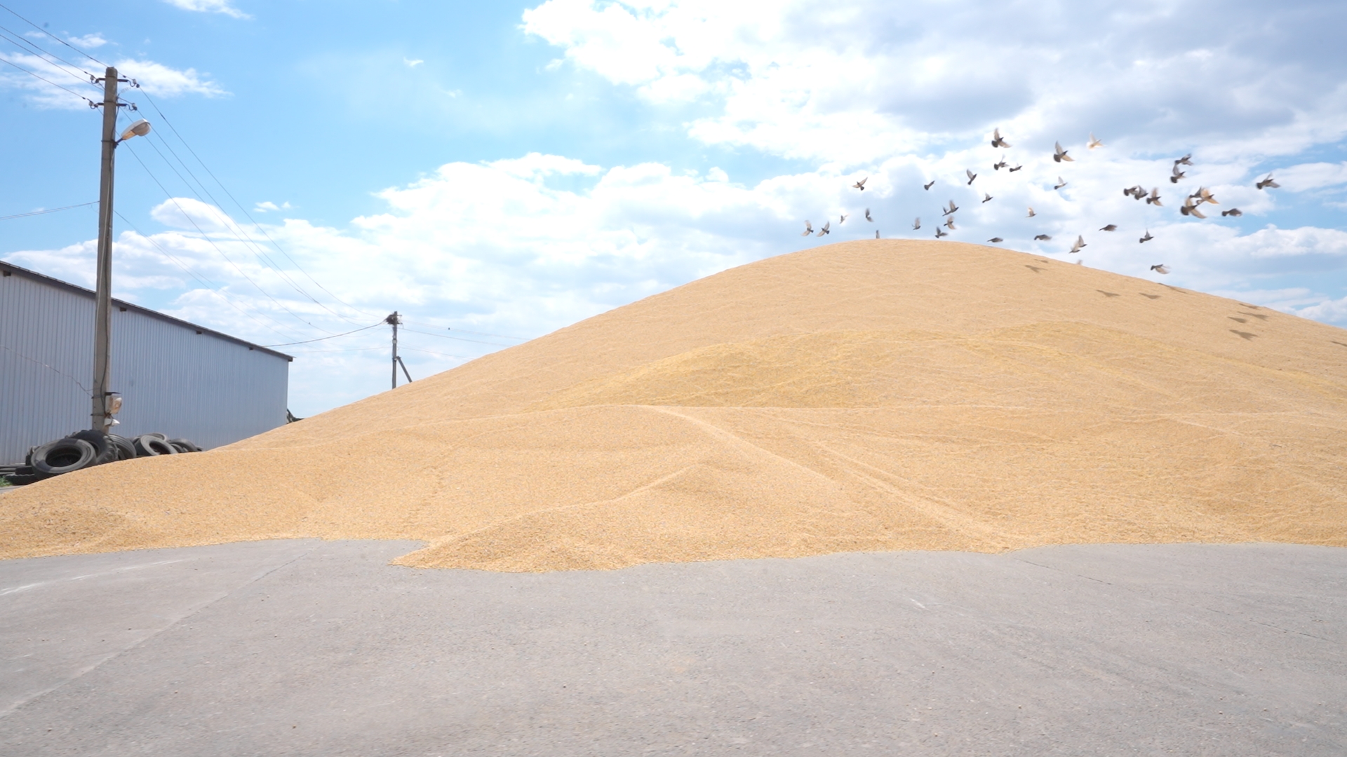 Raw material stockpile